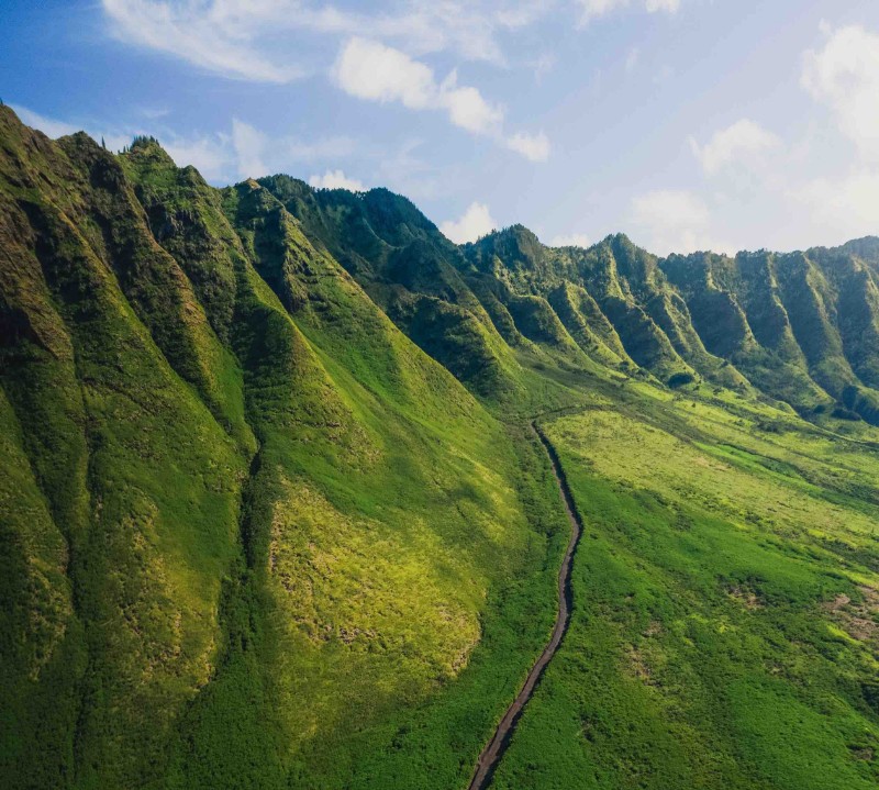Hawaiian Vacation Escape