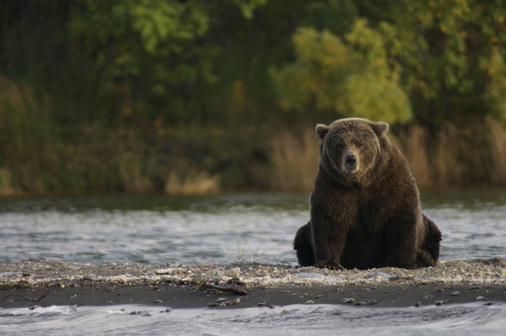 Respect distance with these beautiful creatures.