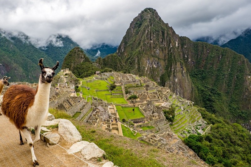 Highlights of Peru: Incas to Amazon
