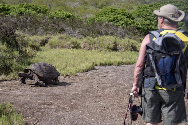 Essential Galapagos Islands