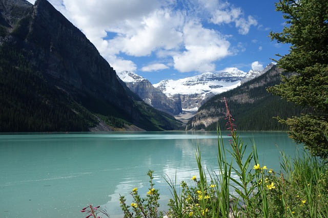 Canadian Rockies by Train