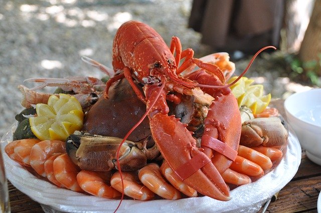 For The Love Of Lobster