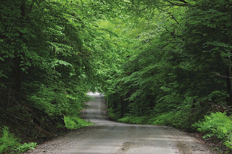 Backroads of Vermont