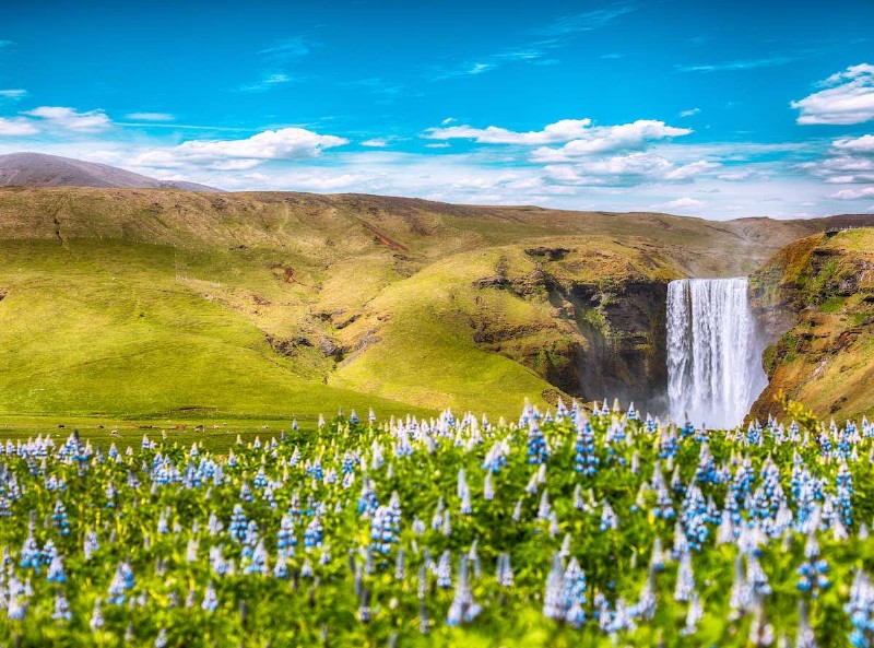 Wellness Iceland