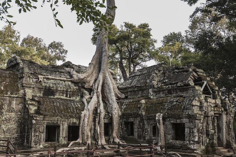 Ta Prohm offers a fascinating glimpse into the natural processes of decay and the reclaiming of the structures by the surrounding jungle.
