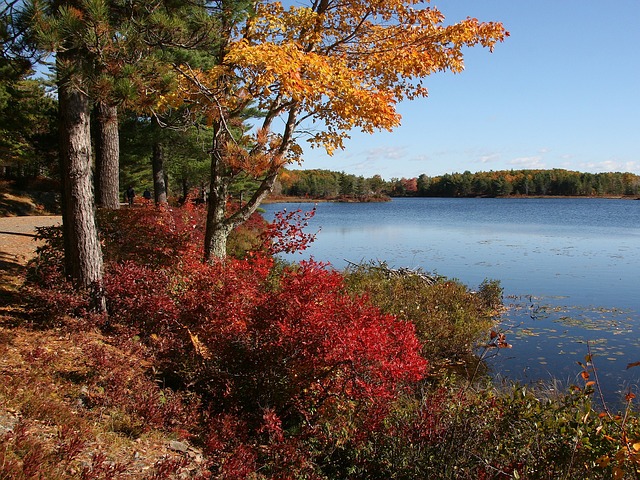 Escape to Maine featuring Acadia National Park
