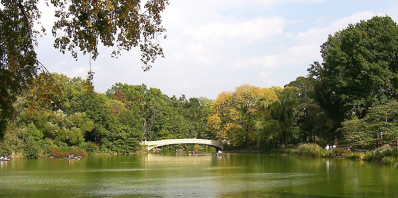 Classic Central Park - Active Day Trip