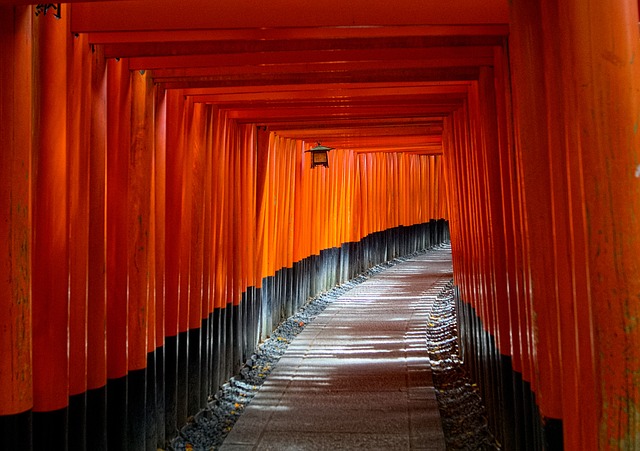 Highlights of Japan