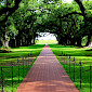 Oak Alley Plantation